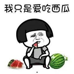 娱乐吃瓜酱怼亲戚,揭秘家庭欢乐背后的真相  第1张